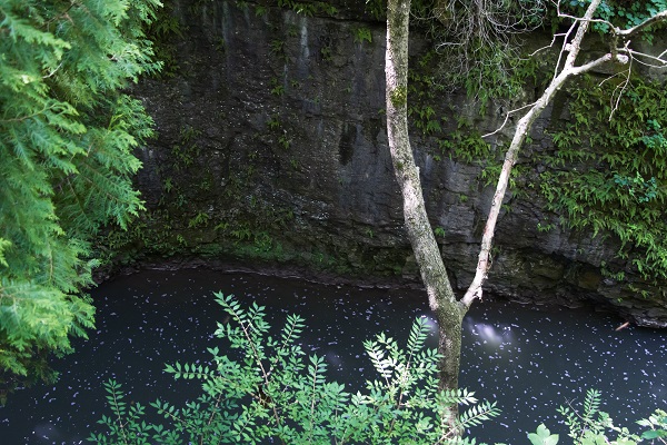Deep and narrow gorge with a river running through